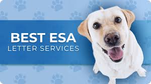 Unlocking Emotional Support: Your Guide to ESA Letters Online post thumbnail image